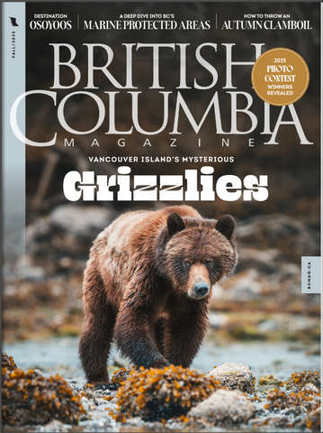BC Magazine Fall 2025