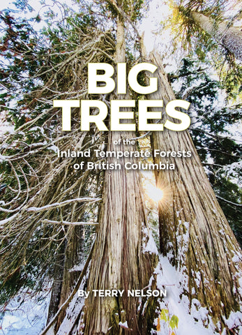 Big Trees of the Inland Temperate Forests of British Columbia