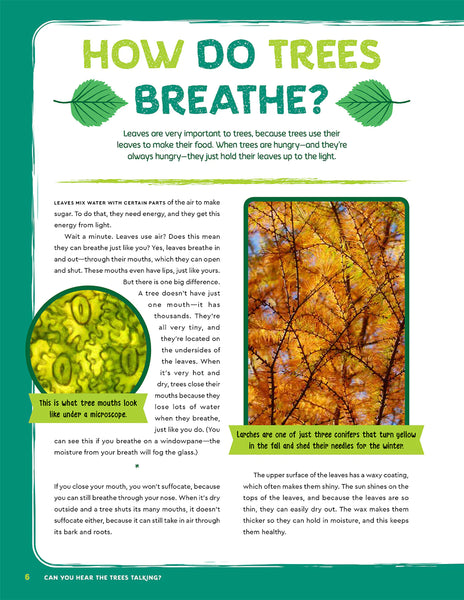 Can You Hear The Trees Talking? – OP Media Group