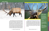Wildlife of the Rockies for Kids